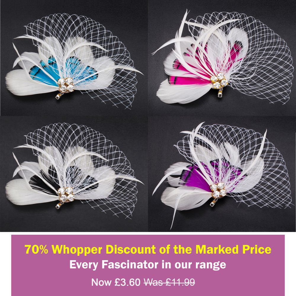 Headwear Mini Hairpin Fascinator or Lapel Brooch Pin,Stunning Quaint Fan Shape Feather,Nett & Diamantes Decoration 4 Colours -Off White - Turquoise - Image 2